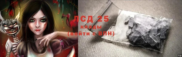 стаф Алексин