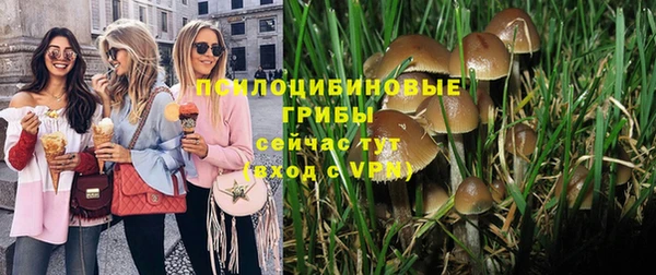 соль ск Алексеевка