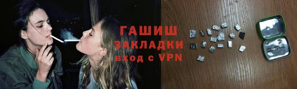 стаф Алексин