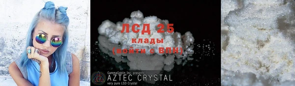 стаф Алексин