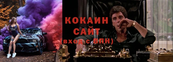стаф Алексин