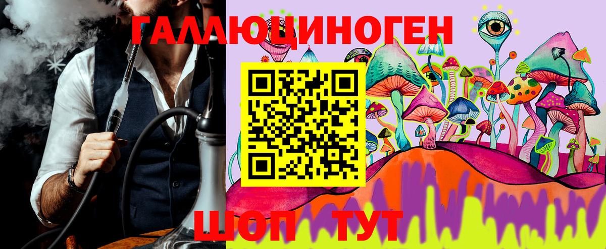 Псилоцибиновые грибы Psilocybe Серов